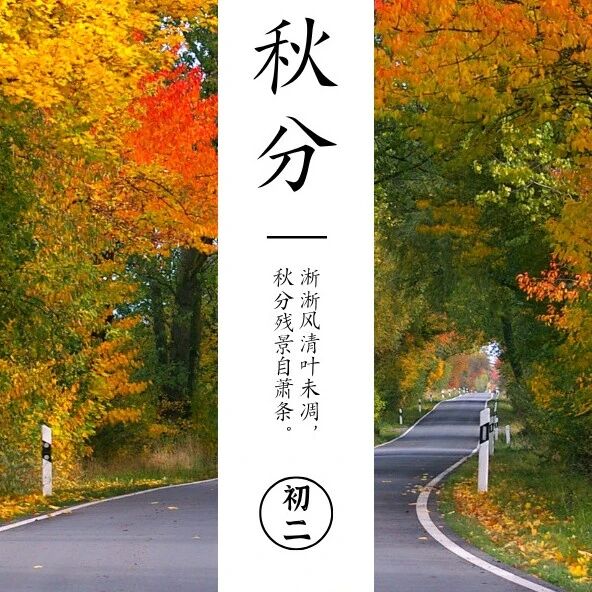 秋分丨风清露冷秋期半，桂子飘香远