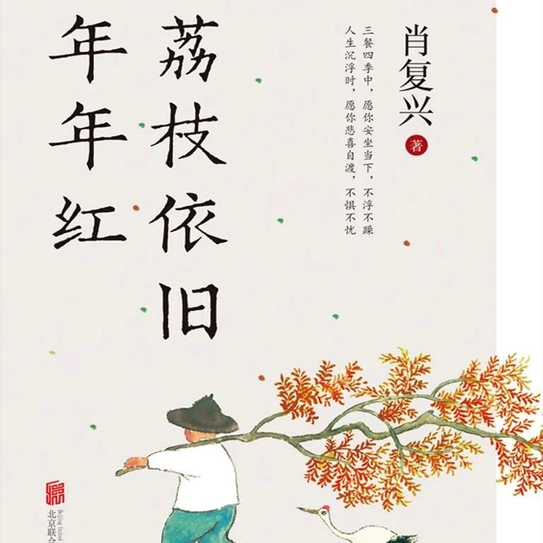 暑假阅读盛宴：夏日书香，点亮假期时光