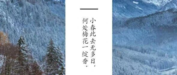 立冬丨冬日之始，万物伏藏