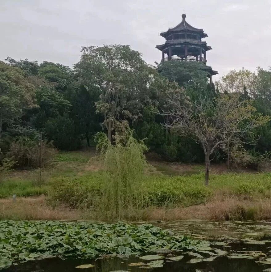 诗词 | 忽有故人心上过，回首山河已深秋