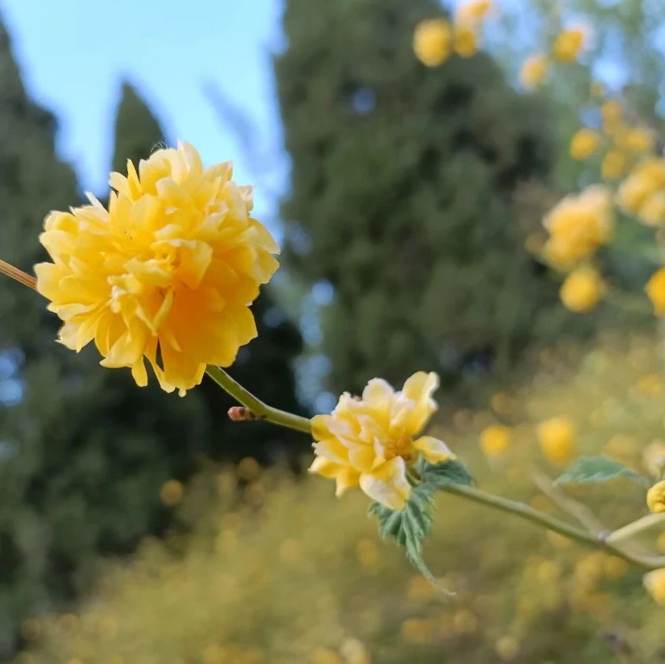 诗词 | 不负今朝莫等闲，笑看人间万万年