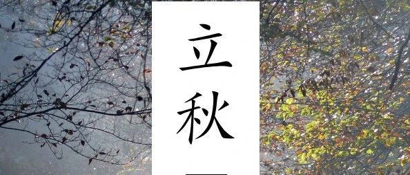 立秋丨睡起秋声无觅处，满阶梧叶月明中