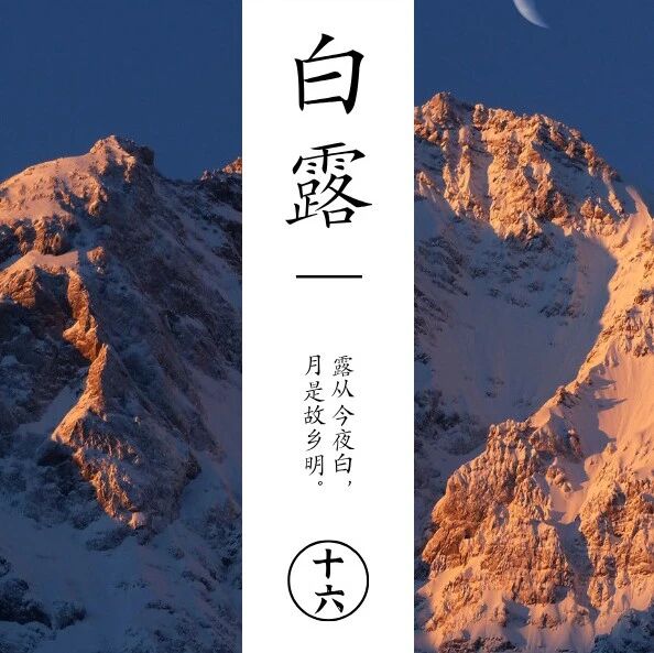 白露｜水月相逢，人间仲秋