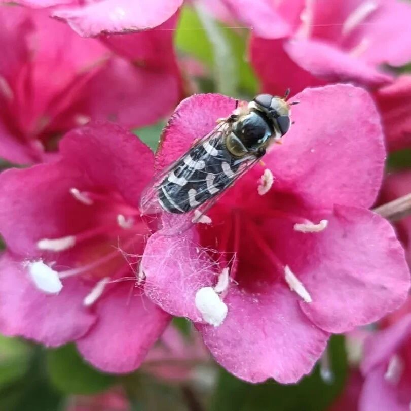 诗词 | 闲坐小窗观浮云，一书一茶一知音