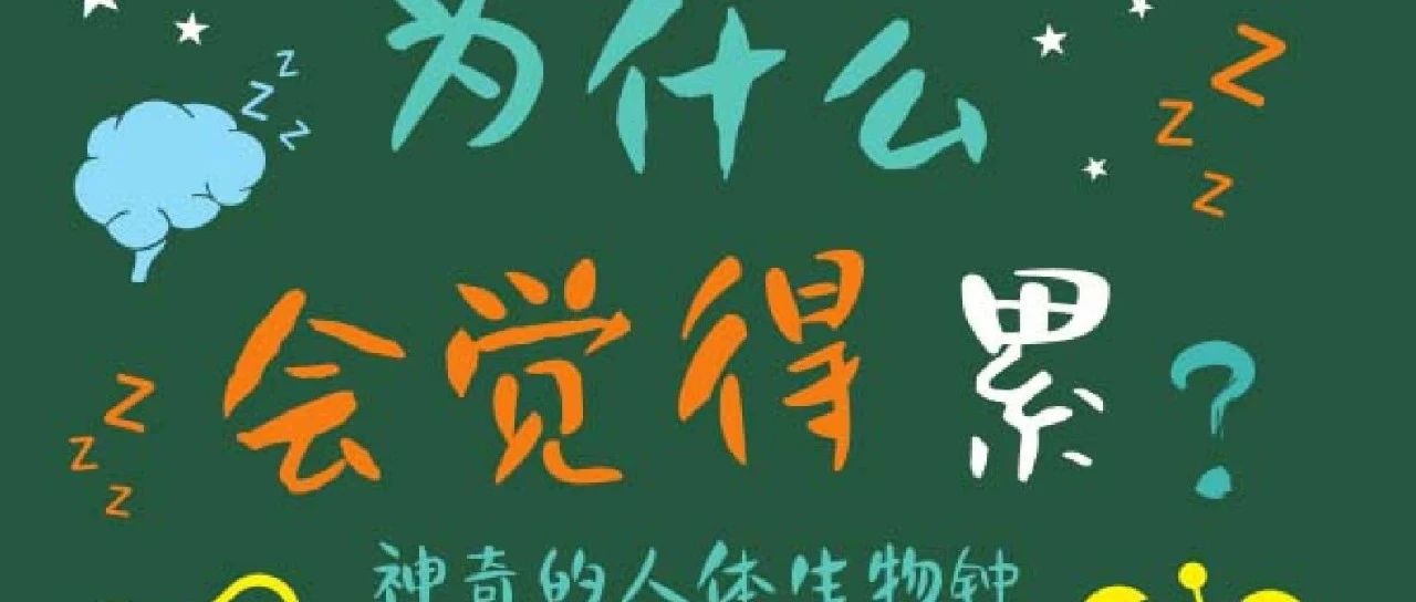 线上书展|春天总犯困？科学解释“春困”背后的奥秘-