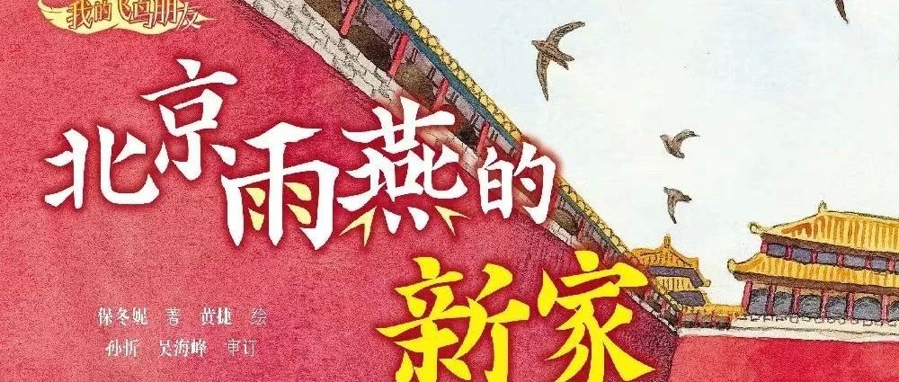 图书馆里过大年｜新书展览 山河春醒主题之《我的飞鸟朋友：北京雨燕的新家》