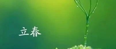 【立春】草长莺飞，春又来到