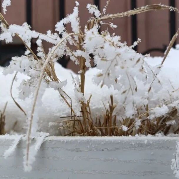 立冬诗词 | 愿你三冬暖，不惧岁月寒