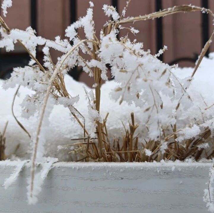诗词 | 心宽自有桃源在，淡看人间四季天