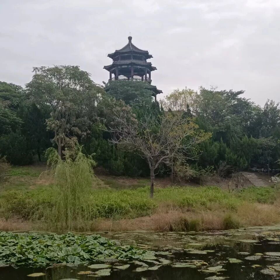 诗词丨寒食遥寄相思泪，明朝新火试新茶