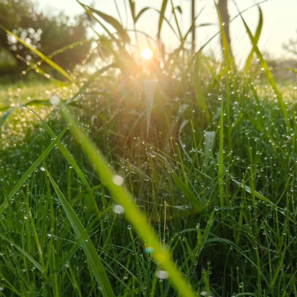 明日六九 | 六九到，春意闹！记得“吃4样，做1事”平稳安康迎新春
