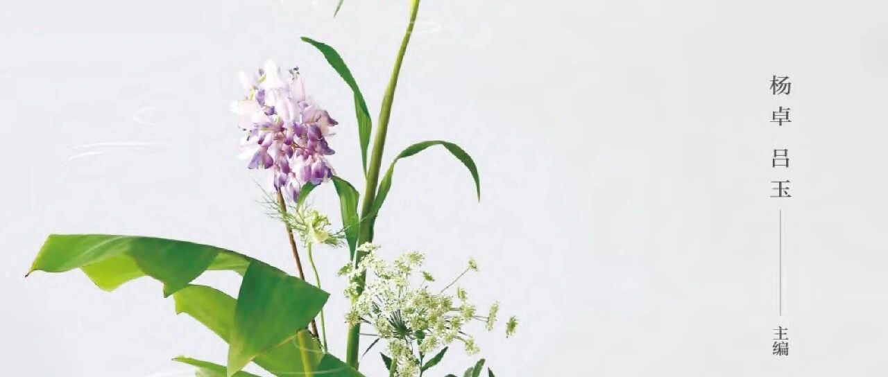 冬至丨冬至福至，暖待春归