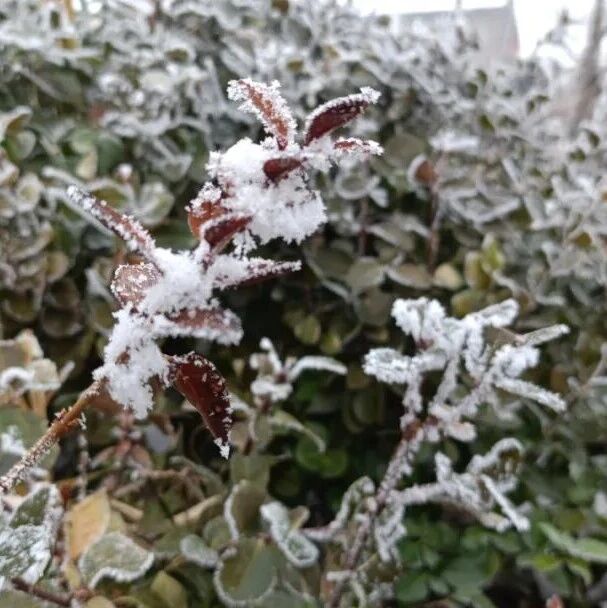 诗词 | 冬至大如年，人间共团圆